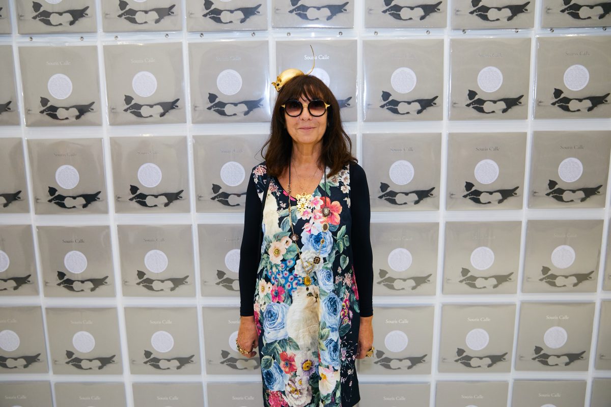 image représentant l'interview Sophie Calle, artiste
