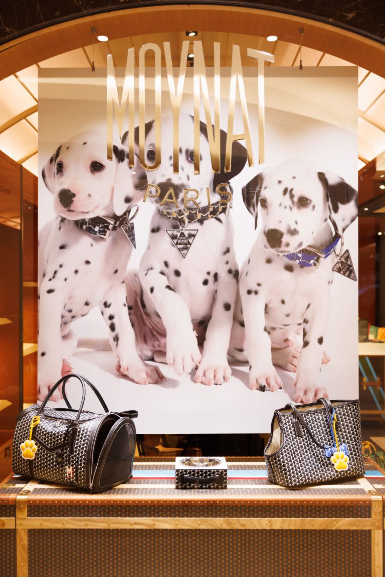Moynat lance sa collection exclusive pour animaux au Bon Marché