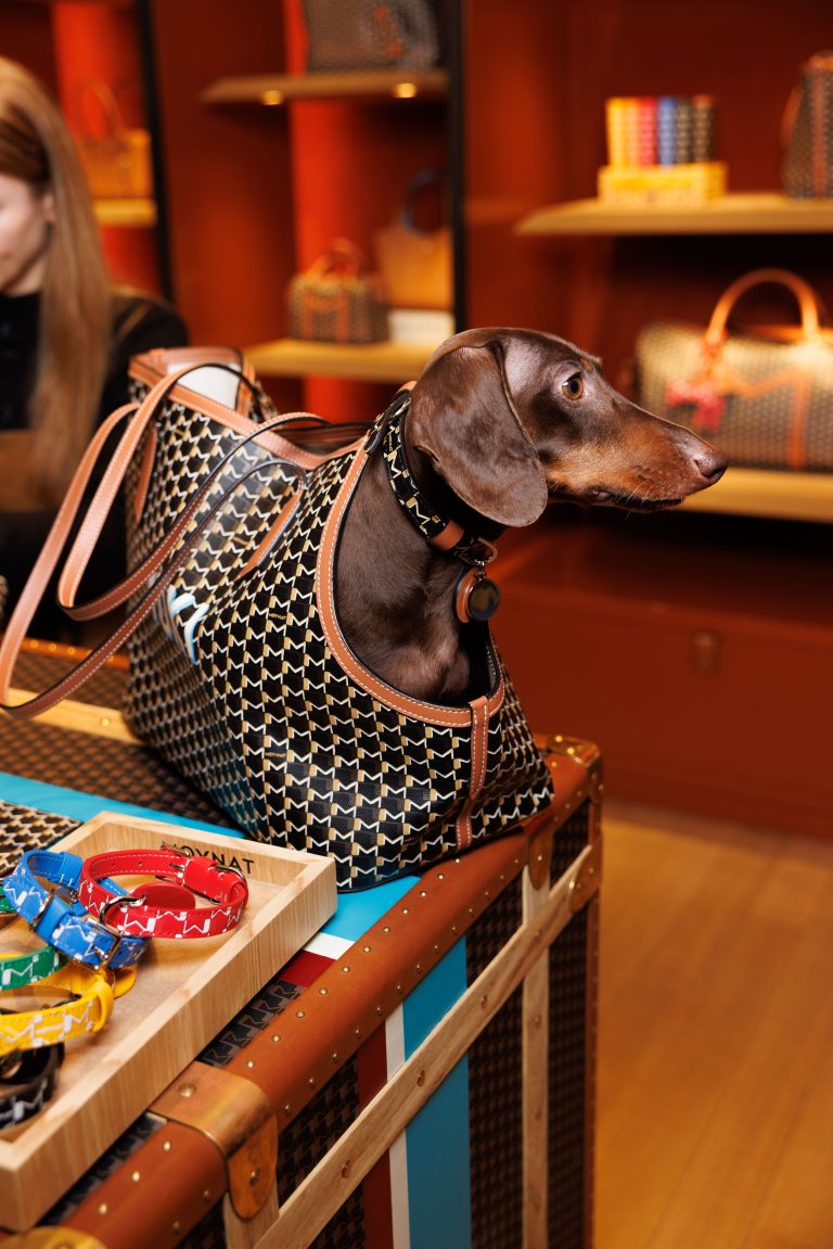 Moynat lance sa collection exclusive pour animaux au Bon Marché