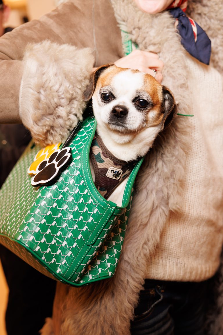 Moynat lance sa collection exclusive pour animaux au Bon Marché