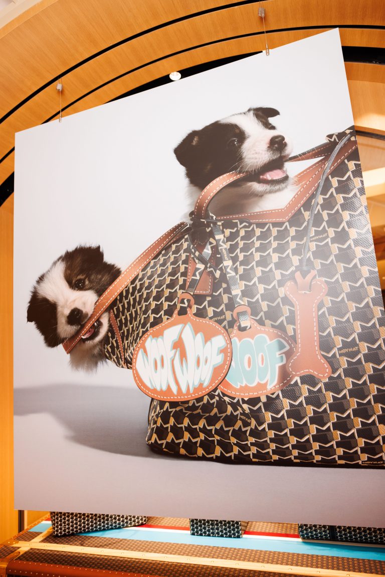 Moynat lance sa collection exclusive pour animaux au Bon Marché