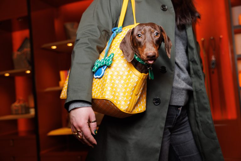 Moynat Launches its Exclusive Capsule for Pets at Le Bon Marché