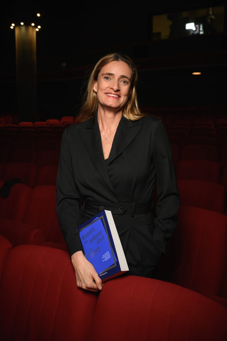  - Le Comité Professionnel des Galeries d’Art se réunit au Cinema de l’Arlequin