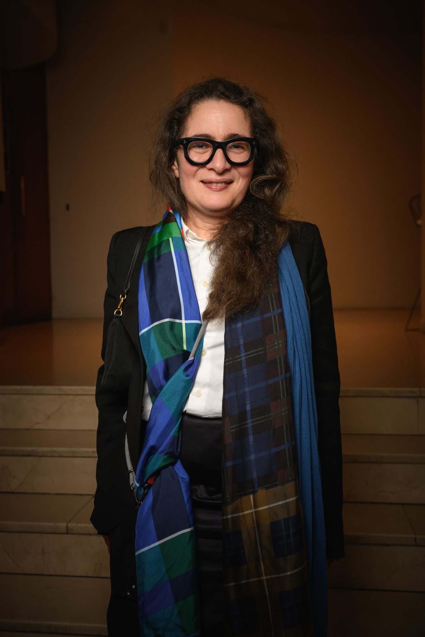  - The Professional Committee of Art Galleries Meet at the Cinéma de l’Arlequin