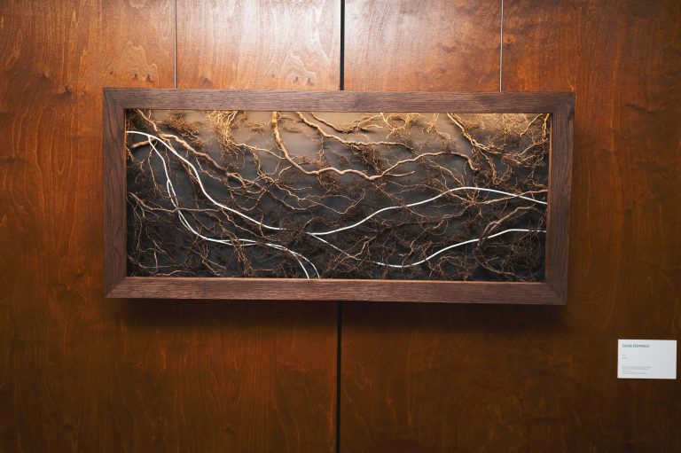 Avec Lélia Demoisy, Ruinart poursuit sa Conversation avec la Nature