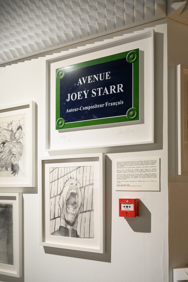 Le Futuro Show électrise le Marché Dauphine