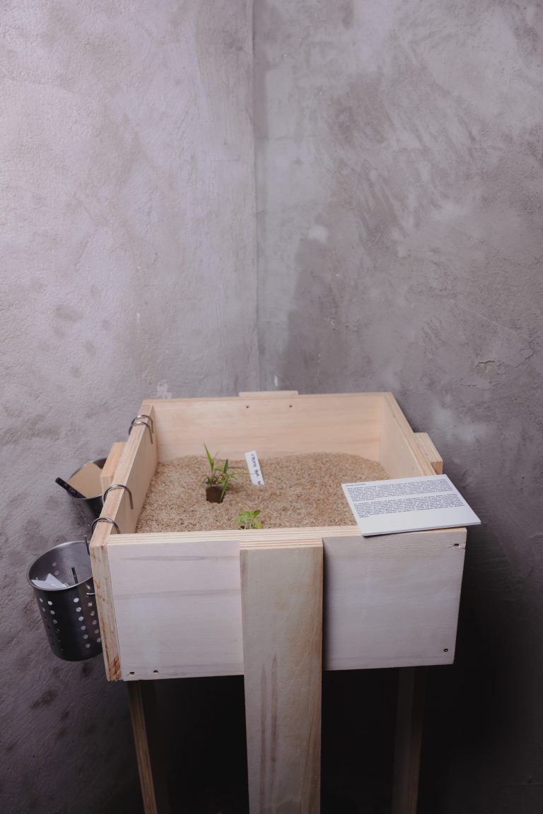 BAAB apre a Roma: underground, arte e performance in una biennale sotterranea