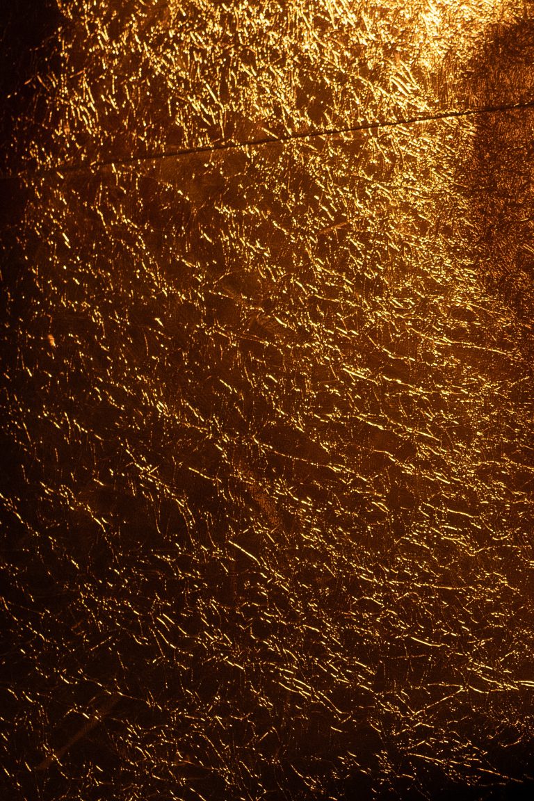 Il glamour senza compromessi di Roberto Cavalli