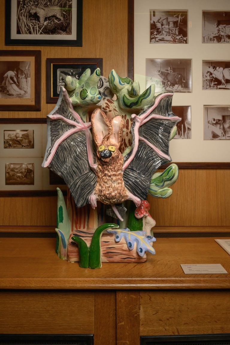 Le Musée de la Chasse et de la Nature célèbre le duo d’artistes Florentine et Alexandre Lamarche-Ovize