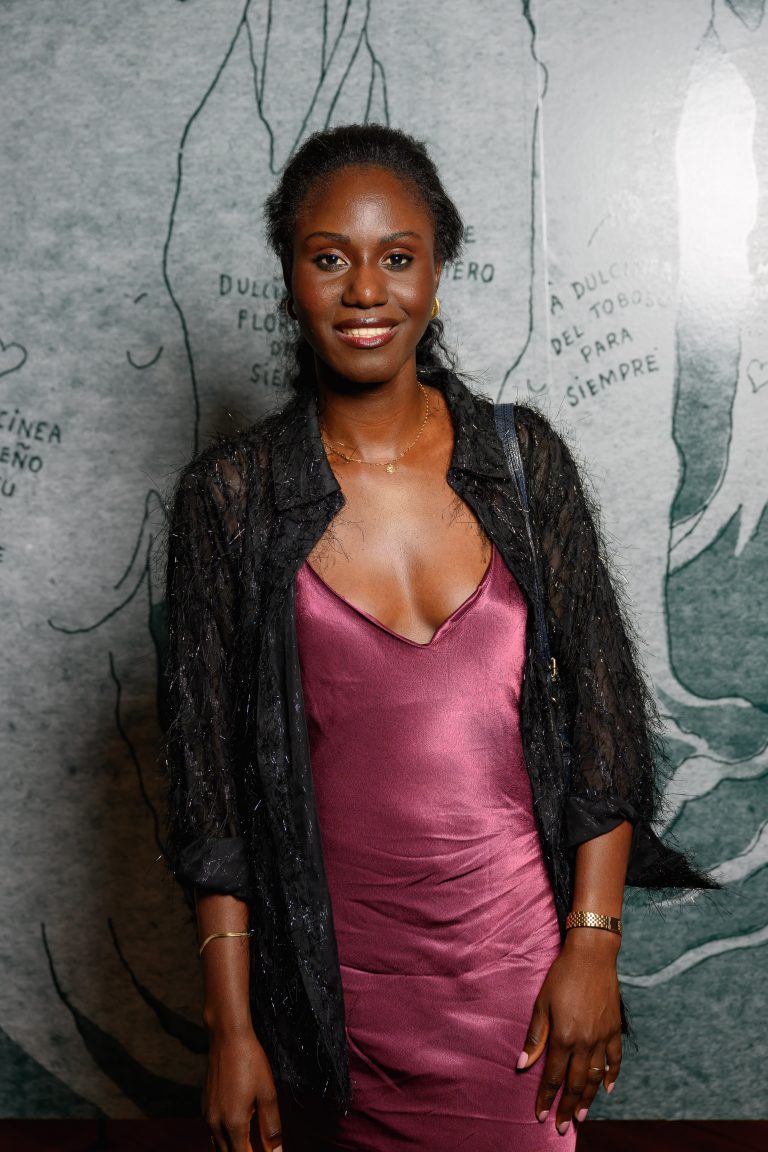  - Don Quichotte se dévoile au Mucem : quand la folie devient art