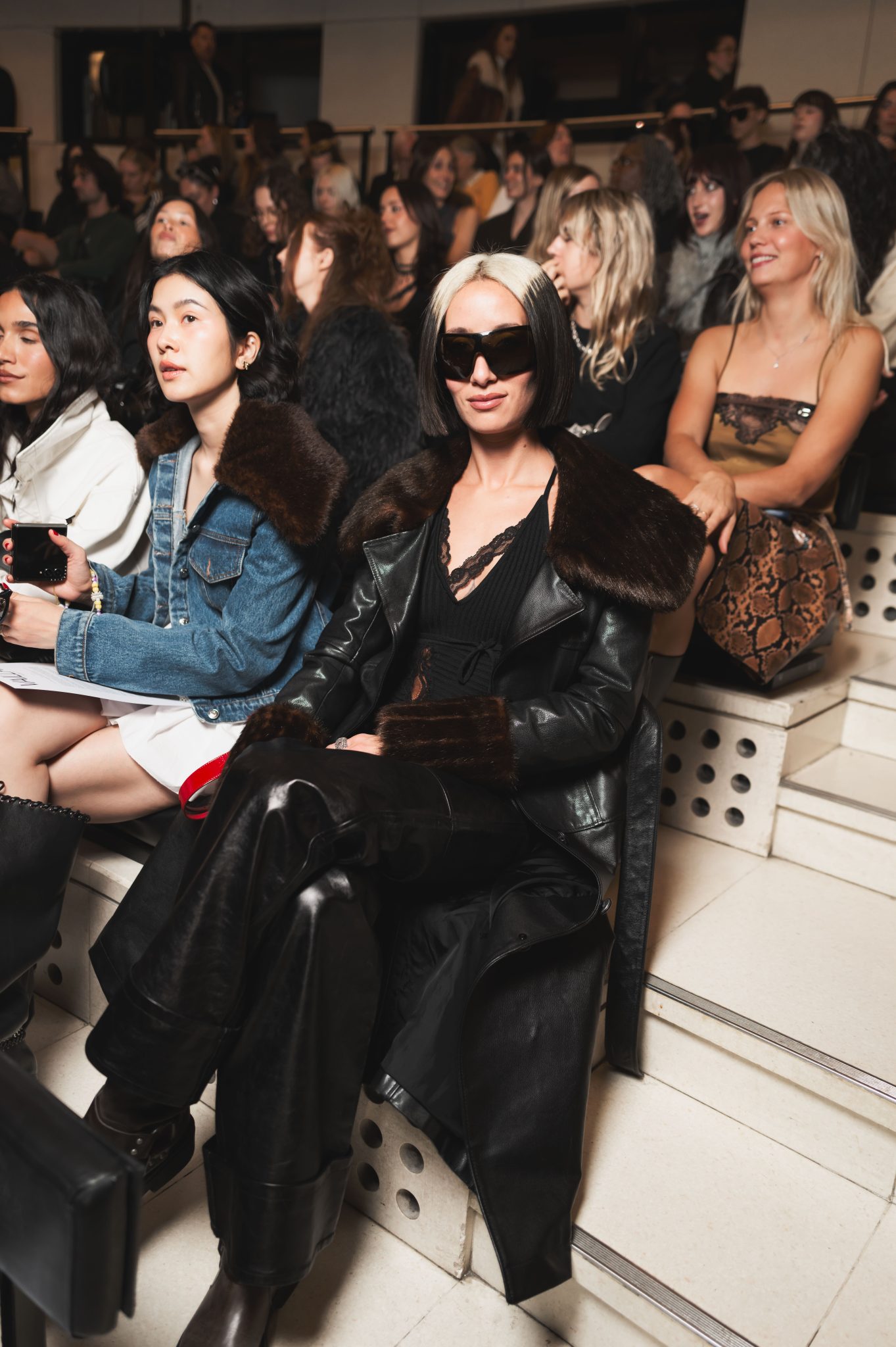  - “Le Récital”: Alice Vaillant’s Dance with Fashion