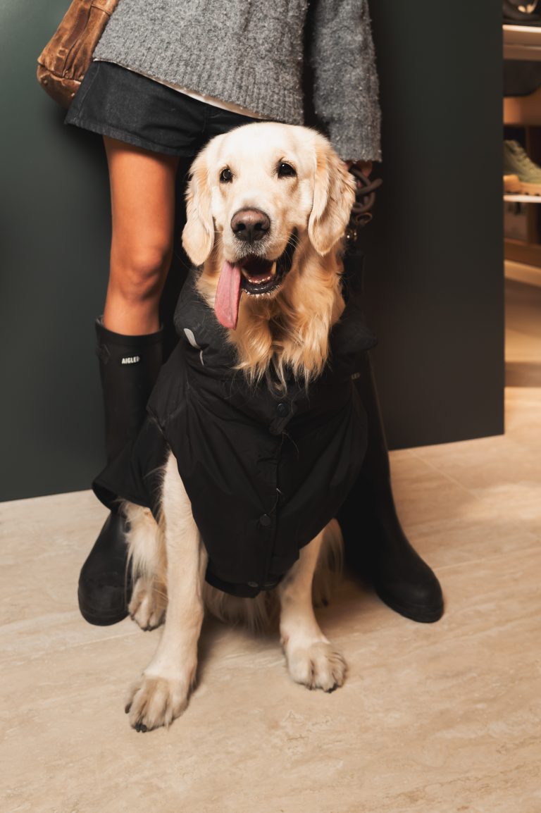 Aigle dévoile sa collection chien dans sa boutique de Saint Germain des Prés rénovée
