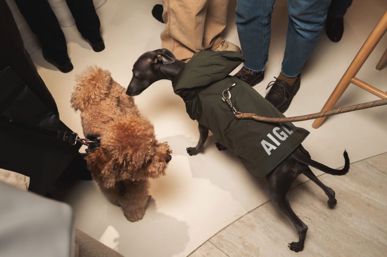 Aigle dévoile sa collection chien dans sa boutique de Saint Germain des Prés rénovée