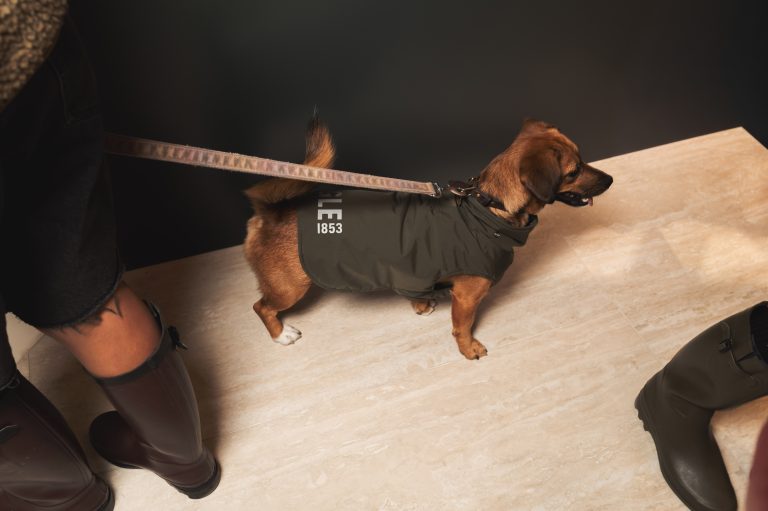 Aigle dévoile sa collection chien dans sa boutique de Saint Germain des Prés rénovée
