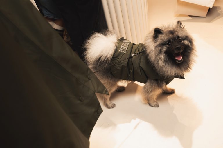 Aigle dévoile sa collection chien dans sa boutique de Saint Germain des Prés rénovée