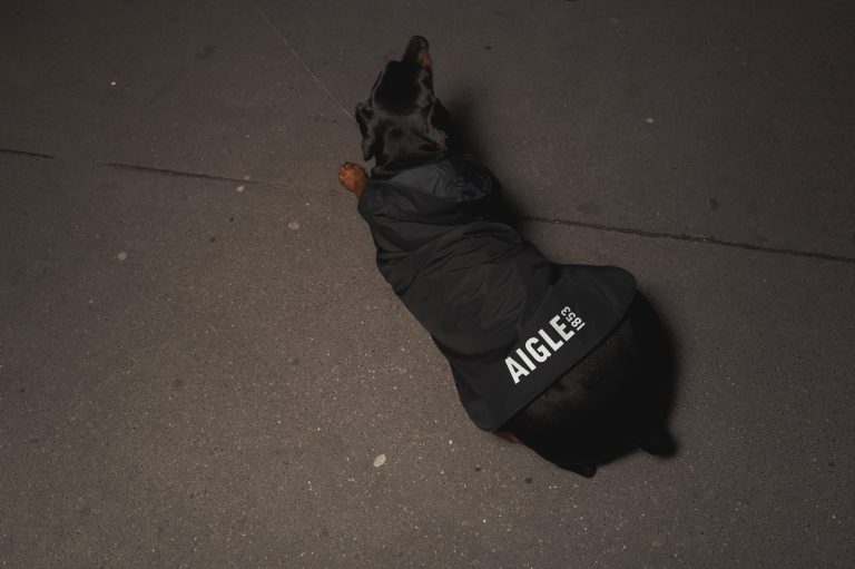 Aigle dévoile sa collection chien dans sa boutique de Saint Germain des Prés rénovée