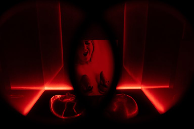 Alcova Miami accende la città: l’opening che trasforma il Miami River Inn