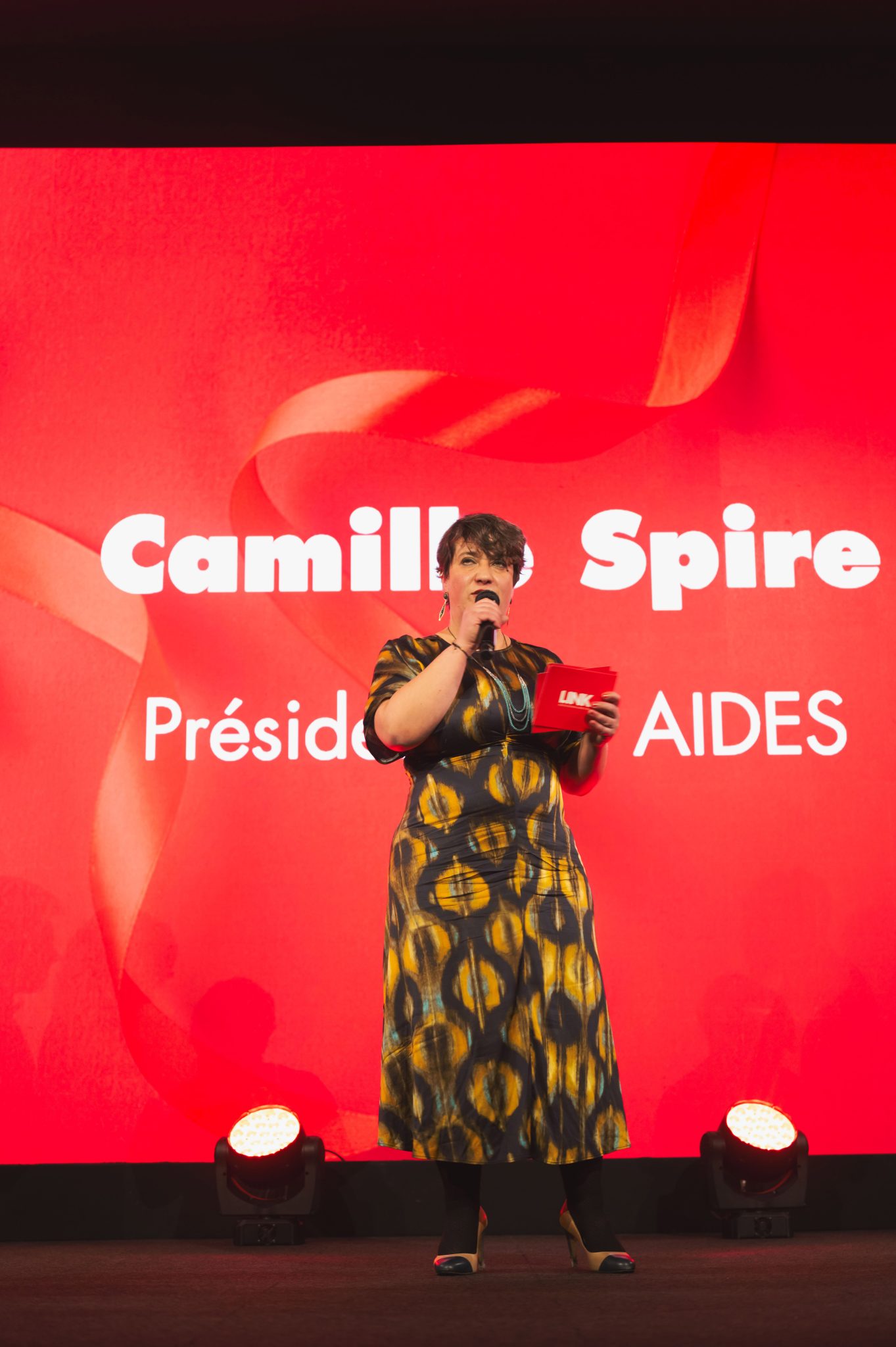  - The 15th Edition of the LINK Dinner for AIDES at Pavillon Gabriel