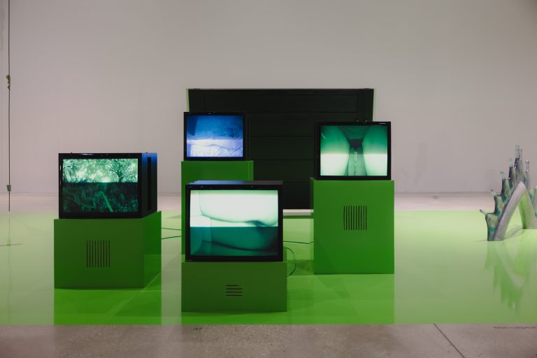 Il MACRO torna vivo: la riapertura che ridisegna la mappa culturale di Roma